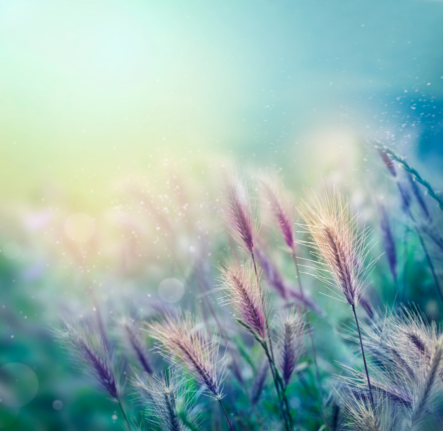Beautiful nature