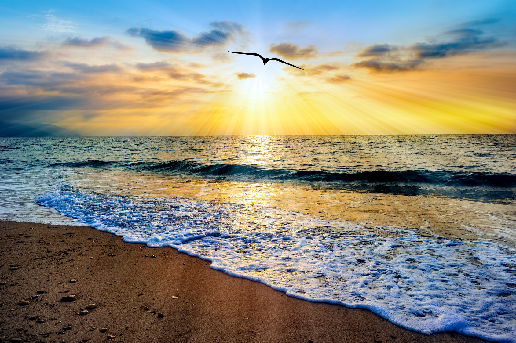 Divine Soul Journey Baptism