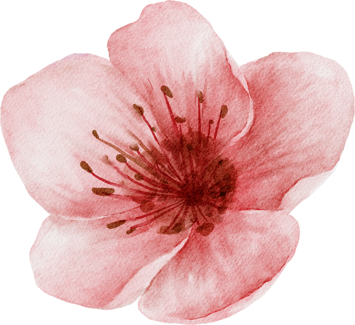 Watercolor Peach Blossoms.