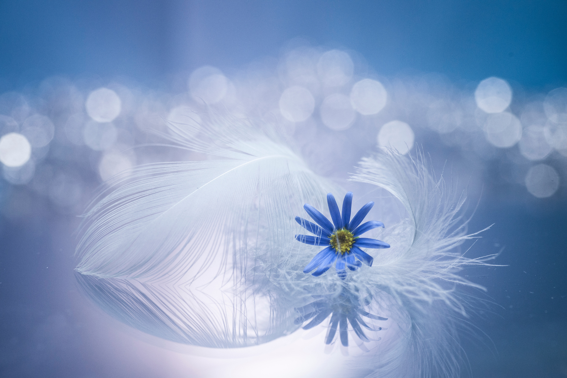 Bluish pieces of soul