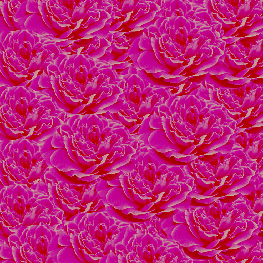 Flowers Seamless Pattern