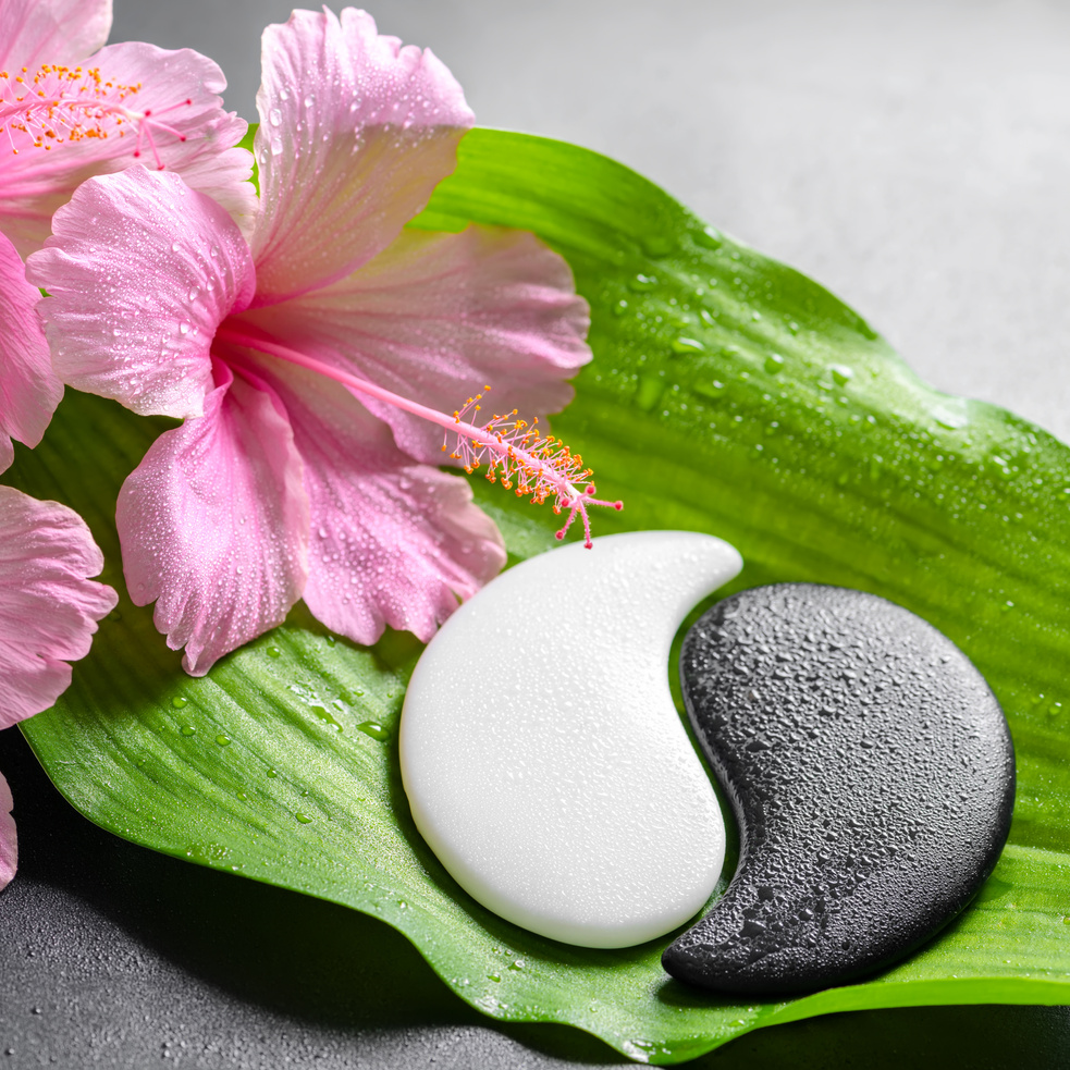 Spa Concept of Pink Hibiscus Flowers and Yin-Yang Stones